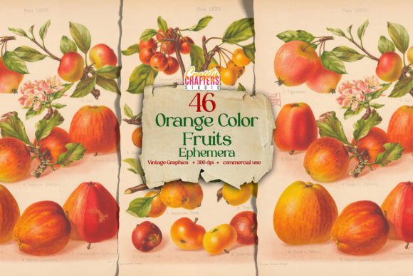 46 Orange Color Fruits Ephemera: Vibrant Vintage Digital Papers