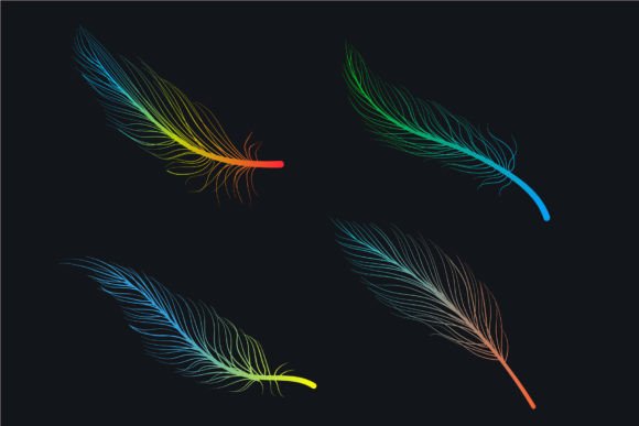 Hand-drawn Color Bird Feathers Linear: A Creative Asset